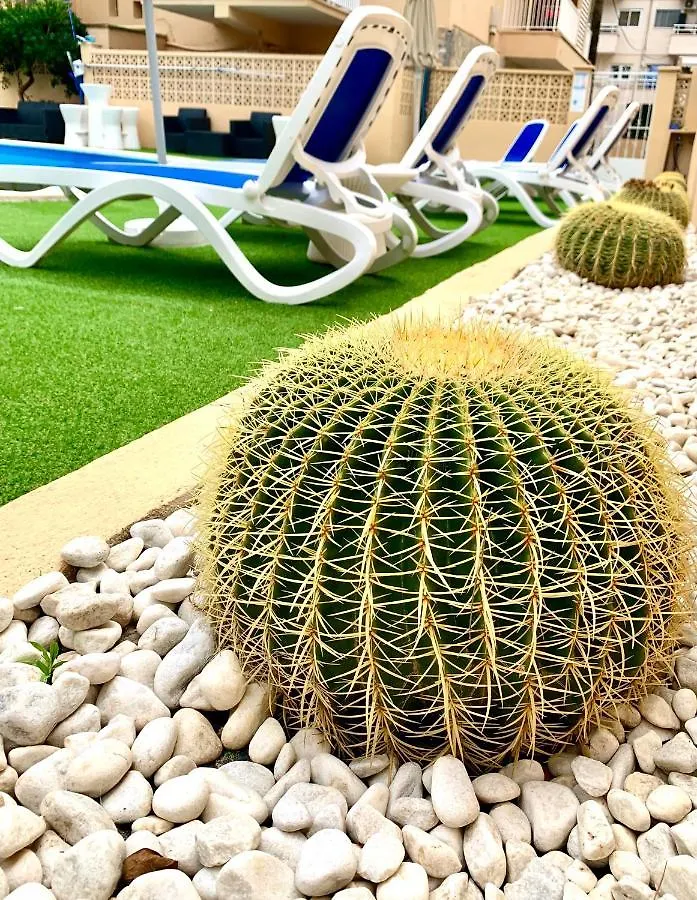 Apartamentos Las Palmeras Palma Nova  Apartment Palma Nova (Mallorca)